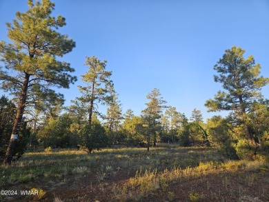 Show Low Lake Lot For Sale in Lakeside Arizona