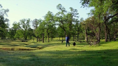 Lake Shasta Acreage For Sale in Redding California