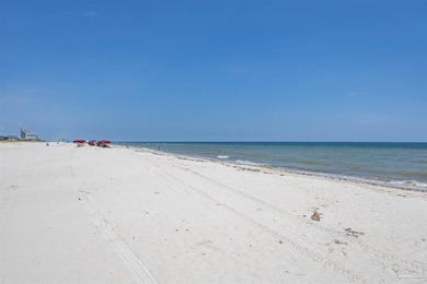Where Vision Meets the Shoreline with 100 feet of direct Gulf - photo 22