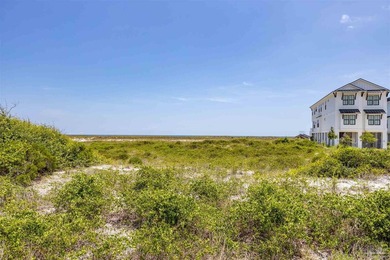 Where Vision Meets the Shoreline with 100 feet of direct Gulf - photo 29