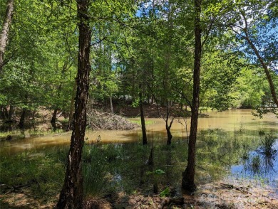Lake Lot For Sale in Belmont, North Carolina