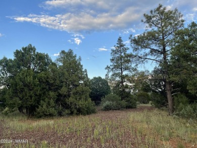 Lake Lot For Sale in Lakeside, Arizona