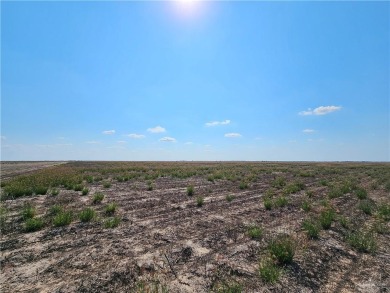 Lake Acreage For Sale in Lyford, Texas