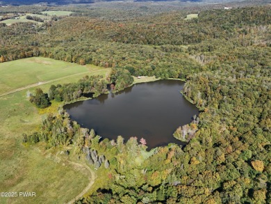 Lake Acreage For Sale in Pleasant Mount, Pennsylvania