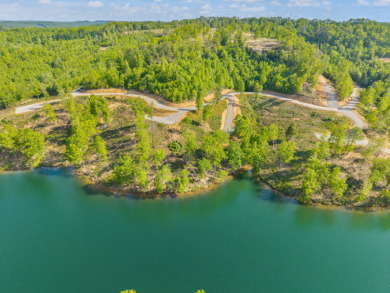 WOOD CREEK LAKE LAKE FRONT BUILDING LOT - photo 7