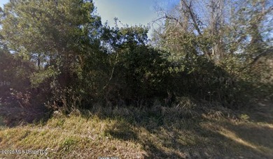 Build Your Coastal Getaway or Investment Property! This wooded - photo 4