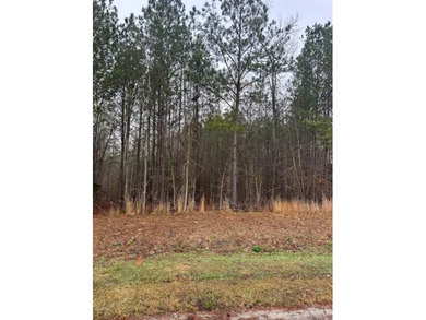 Lake Acreage For Sale in Lincolnton, Georgia