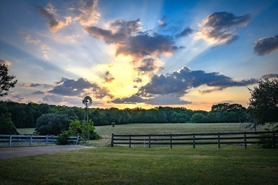 Lake Home For Sale in La Grange, Texas