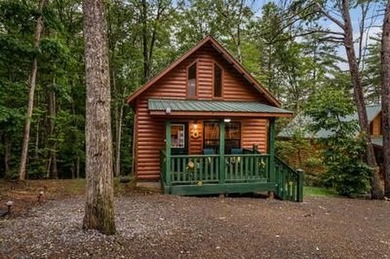 Lake Hiwassee Home For Sale in Murphy North Carolina