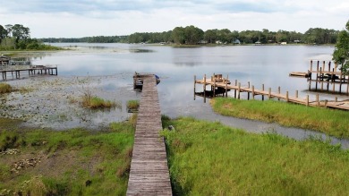 Lake Acreage For Sale in Pomona Park, Florida