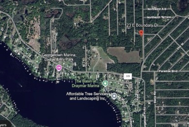 Lake Lot For Sale in Georgetown, Florida