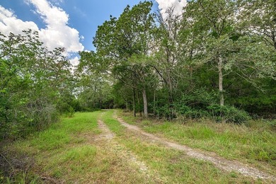 100 Acres of Secluded Texas Countryside Tucked away in the heart - photo 5