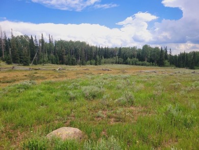 Meadow Lodge Lake Lot Sale Pending in Brian Head Utah