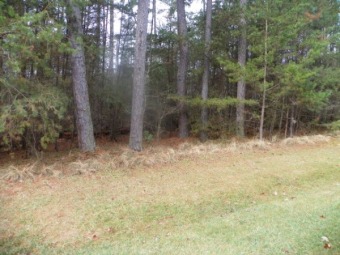 Great Wooded Lot In Gated Community - Lake Lot For Sale in New London, North Carolina