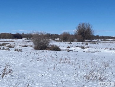 40 Acres at the end of a dead end road. PROPERTY IS Currently A - photo 2