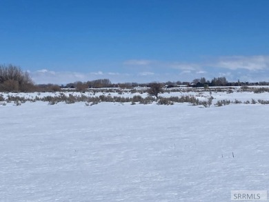 40 Acres at the end of a dead end road. PROPERTY IS Currently A - photo 6