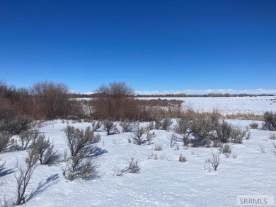 40 Acres at the end of a dead end road. PROPERTY IS Currently A - photo 8