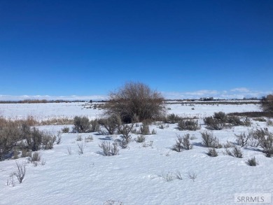 40 Acres at the end of a dead end road. PROPERTY IS Currently A - photo 9