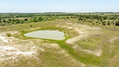 (private lake, pond, creek) Acreage For Sale in Carlton Texas
