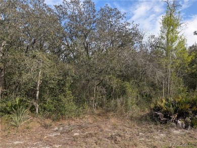 Don't Miss Out On This Fantastic Piece Of Florida Residential - photo 1