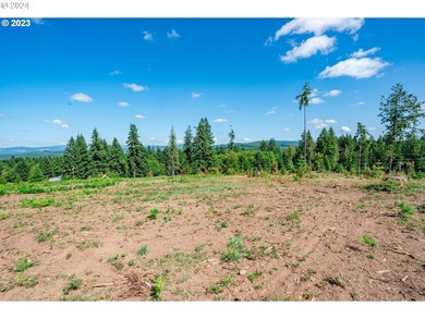 Silver Lake - Cowlitz County Acreage For Sale in Castle Rock Washington