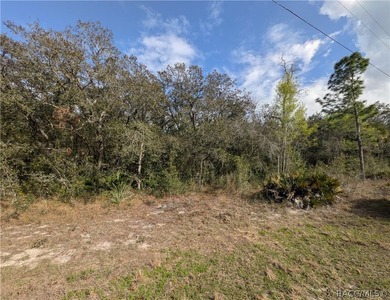 Don't Miss Out On This Fantastic Piece Of Florida Residential - photo 2