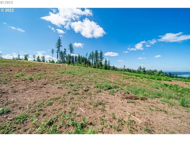 Introducing Delta Vista Community! An upscale community with - photo 2