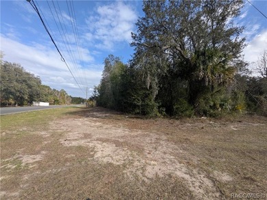 Don't Miss Out On This Fantastic Piece Of Florida Residential - photo 3