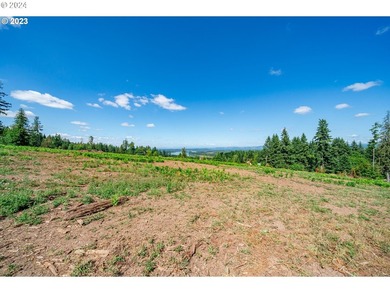 Introducing Delta Vista Community! An upscale community with - photo 3