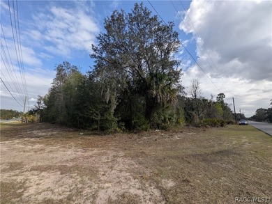 Don't Miss Out On This Fantastic Piece Of Florida Residential - photo 4