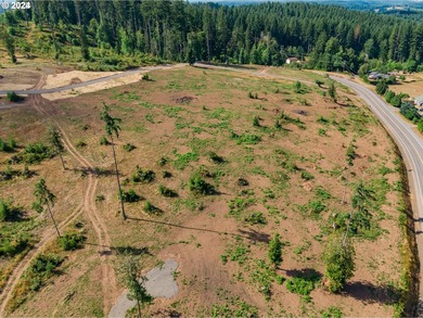 Introducing Delta Vista Community! An upscale community with - photo 4