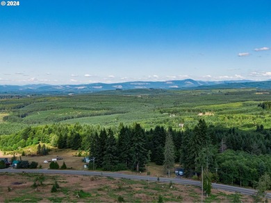 Introducing Delta Vista Community! An upscale community with - photo 7