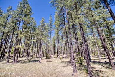 Stunning lot located in the highly coveted gated community of - photo 4