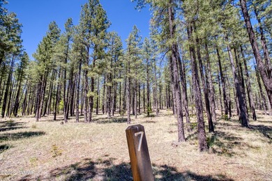 Stunning lot located in the highly coveted gated community of - photo 7