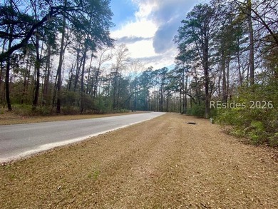 This 1.02 acre wooded lot has a rear lagoon view and is located - photo 25