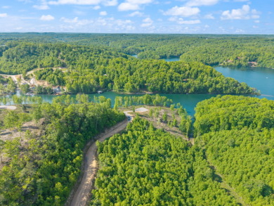 WOOD CREEK LAKE LAKE FRONT BUILDING LOT - photo 20