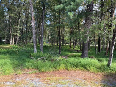 Lake Lot For Sale in Milford, Pennsylvania