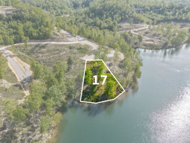WOOD CREEK LAKE LAKE FRONT BUILDING LOT - photo 2