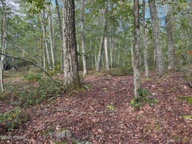 Lake Lot For Sale in Milford, Pennsylvania