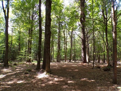 Peaceful and serene, this beautiful 15.1-acre wooded waterfront - photo 1