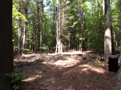 Peaceful and serene, this beautiful 15.1-acre wooded waterfront - photo 3