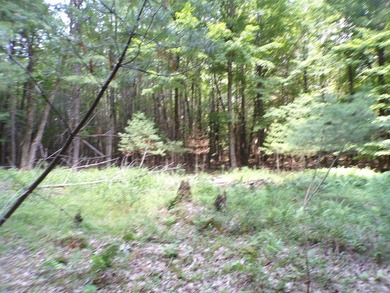 Peaceful and serene, this beautiful 15.1-acre wooded waterfront - photo 7