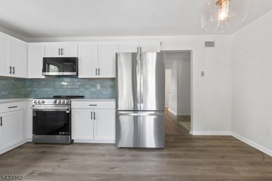 Turnkey fully renovated multi-level condo that checks every box! - photo 13