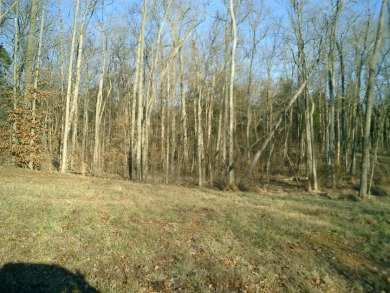 Rough River Lake Lot For Sale in Leitchfield Kentucky