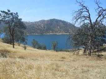 Millerton Lake Lot For Sale in Friant California