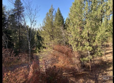 Lake Lot For Sale in Mccall, Idaho