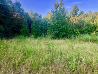 Lake Acreage Off Market in Como, Texas