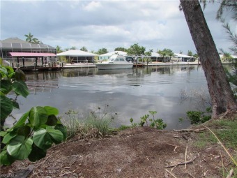 Lake Lot Off Market in ST. James City, Florida