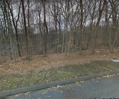 Amazing opportunity to build your DREAM HOME! This 2 acre parcel - photo 6