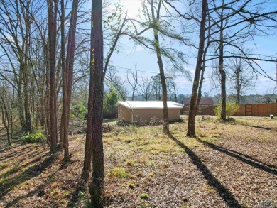 Lake Home For Sale in Avinger, Texas